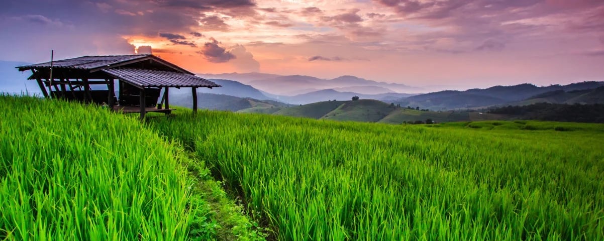 Chiang-Mai