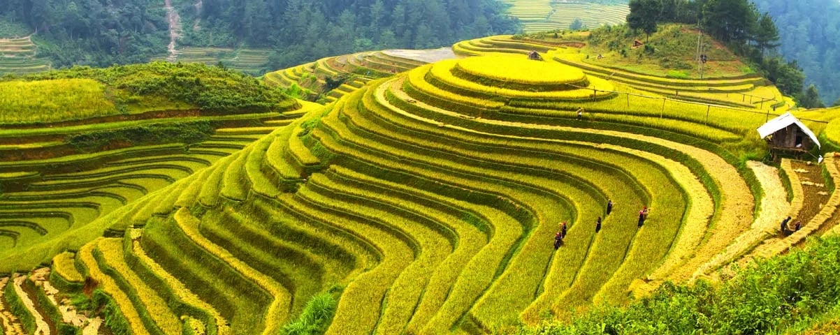 Vietnam