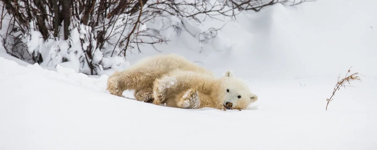 Canada