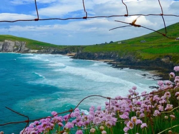 Dingle Peninsula & Slea Head Tour - Private Tour