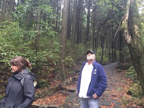 Hakone full day tour by private guide