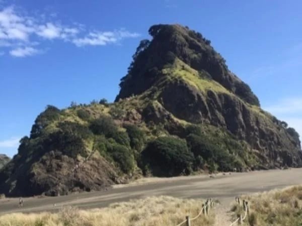 Auckland - Coast to Coast private tour
