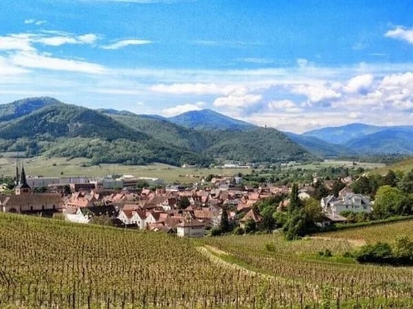 Discover storybook villages, castles and wines of Alsace starting in Colmar