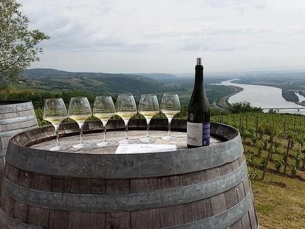 Wine full day Tour in the Northern Rhône Valley