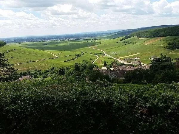 Private Wine Tour in Burgundy around Beaune