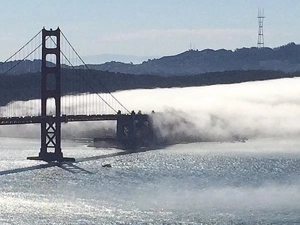 San Francisco's Beauty and Charm - 1/2 day minivan tour