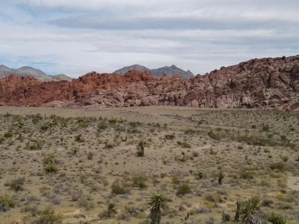 Red Rock Canyon Tour