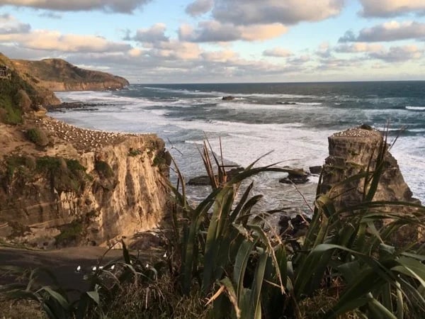 West Coast Beaches, Black Sand, Surf and Birds