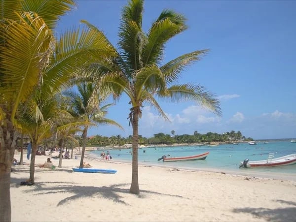 Private guide for a full day from Cancun