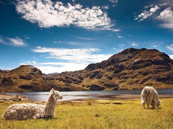 Cajas National Park Unveiled