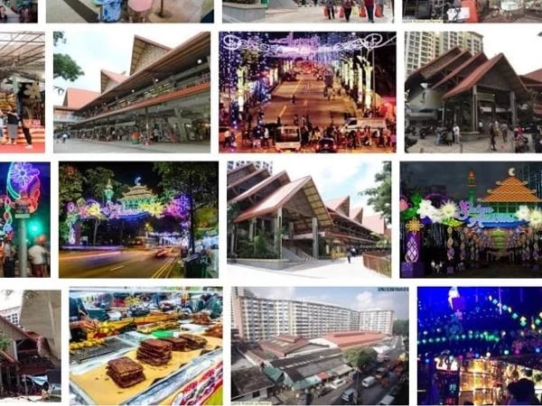 Cruise Travellers / Transit Travellers overview tour of Singapore