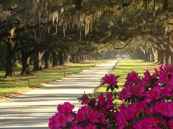 Boone Hall Plantation Express Tour