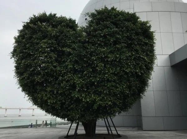 'Family Fun' full-day tour in Macau