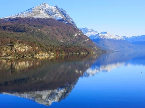 'Forest Experience' Tierra del Fuego National Park + City tour