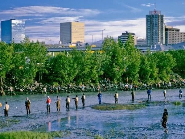 Anchorage N' Beyond - Fabulous Tour for Four