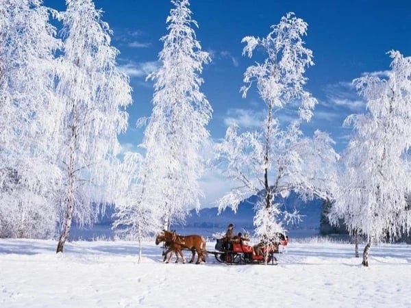 Salzburg Lakes & Mountains - Winter Wonderland