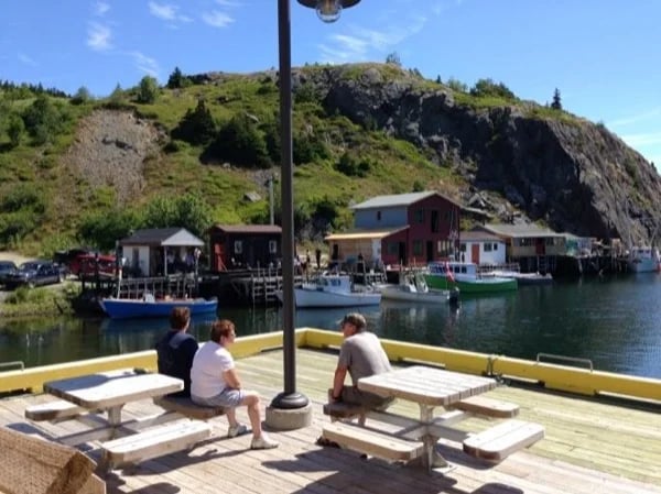 Out and About in St. John's