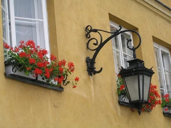 Highlights of Warsaw half day tour