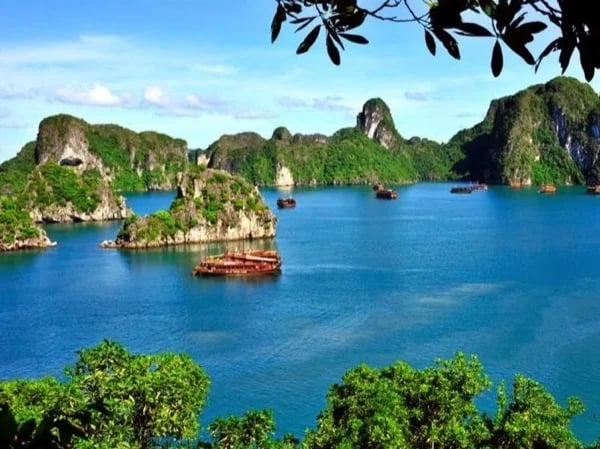 Shore Excursion Tour: Halong Bay Tour