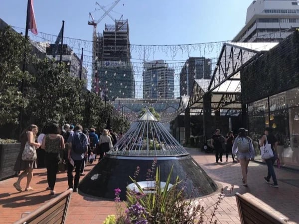 Walk around Auckland with a Private Guide