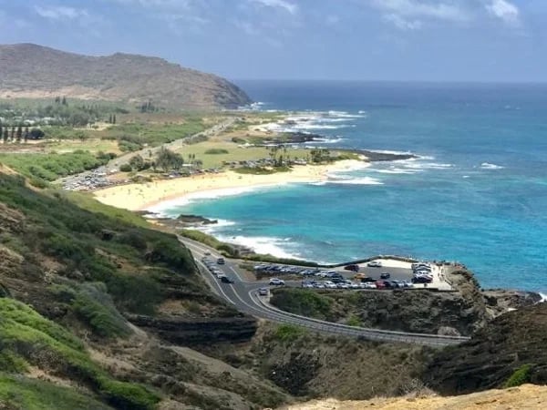 Your Half Day Private Tours of Oahu, Hawaii (Groups of 1-5 or of 1-4 w/ luggage)