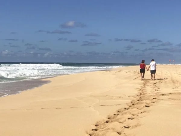 Your Long Day Private Tours of Oahu, Hawaii (Groups of 1-5 or of 1-4 w/ luggage)
