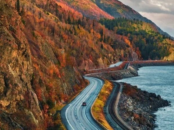 Full Day Trip from Anchorage to Seward Transfer and Tour