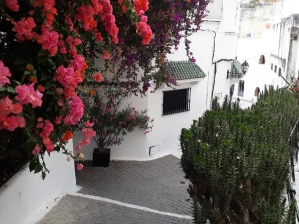 Kasbah Tour