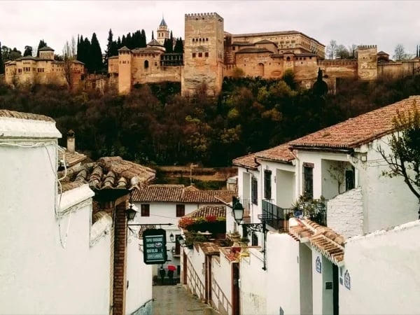 Going to Alhambra? Half Day Private Tour!