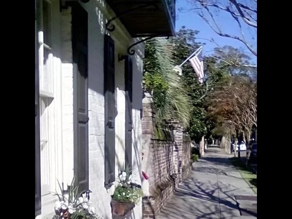 Historic Charleston Three Hour Walkabout