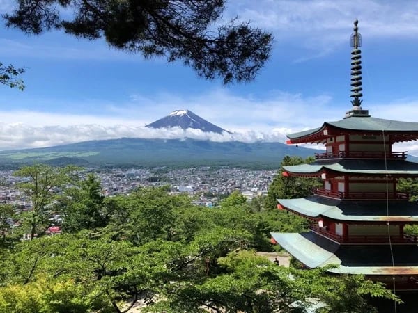 Mt. Fuji Private Highlight Tour