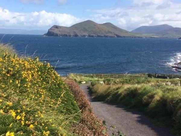 Ring of Kerry including Valentia Island & Scelig Ring