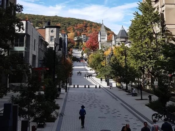 Montreal classic Private Tour by car (4 hours)