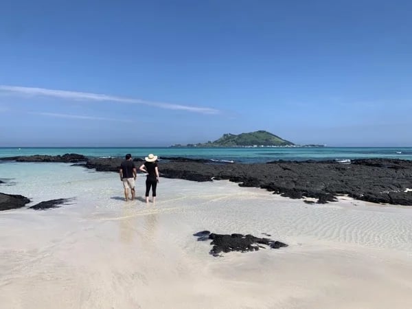 West Jeju Island Shore Excursion - Full Day Private Tour