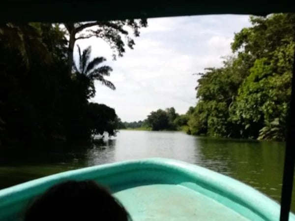 Monkey Island and Rain Forest Half Day.