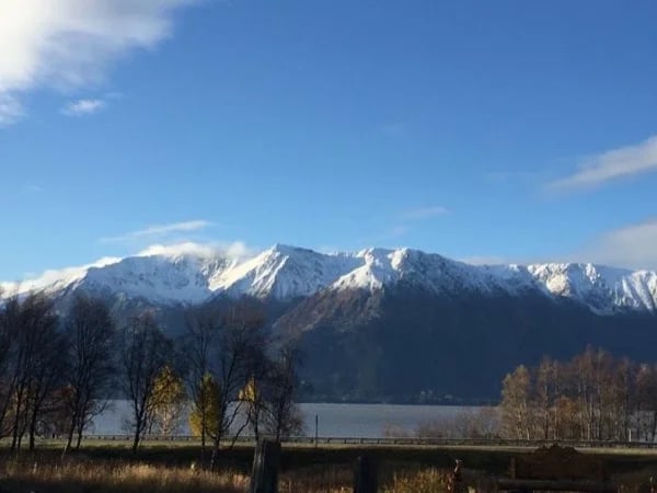 Anchorage to Seward Full Day Tour