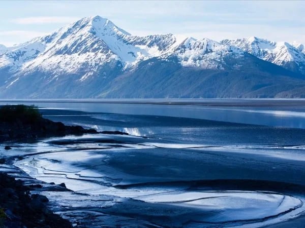 Half Day Turnagain Arm Tour with Private Transportation