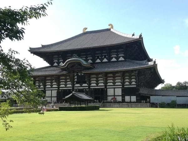 Explore Southern Kyoto and Nara with your private tour guide