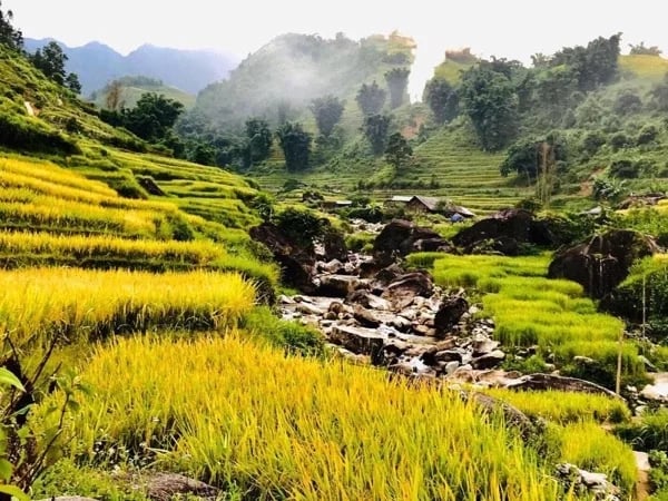 2 Day Private Trekking Tour of Sa Pa Village & Muong Hoa Valley