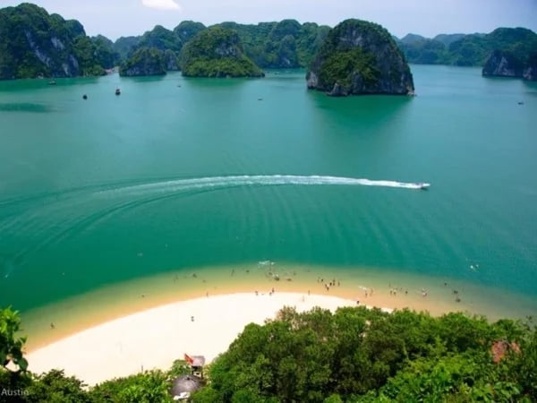 Full Day Trip Cruising Halong Bay - Shore Excursion