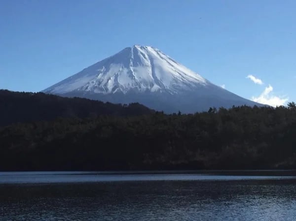 Explore Aokigahara forest brimming with natural beauty created by Mt. Fuji