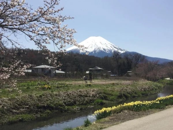 Visit the sacred places of Mt. Fuji worship - Oshino Hakkai ＆ Fuji Sengen Shrine