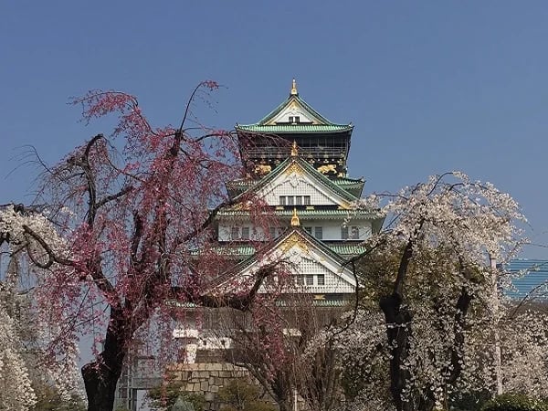 Personalized Full-day Osaka Tour from Kyoto/Osaka