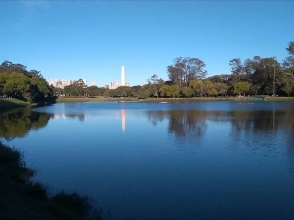 Five-Hour São Paulo City Tour