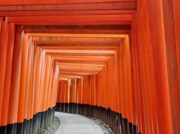 The best course of Kyoto city tour