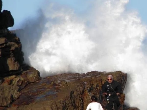Cape Point, Cape of Good Hope and Boulders Penguin Colony tour