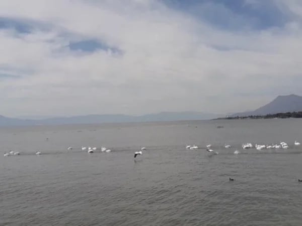 Day Trip from Guadalajara