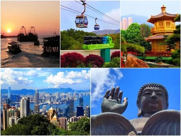 Hong Kong Kowloon Lantau Tai O full day private car tour