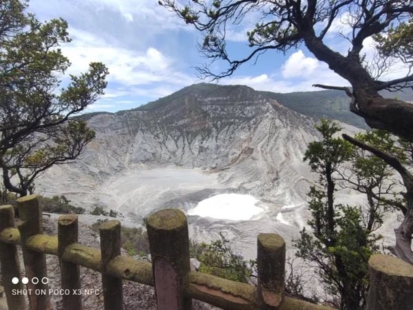 Active Volcano, Hot spring, Luwak coffee and tea factory Tour