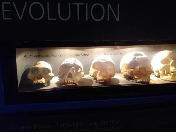 The Sterkfontein Caves and Maropeng museum and Soweto, 8hours tour with your Local Guide
